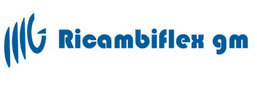 Logo-Ricambiflex GM